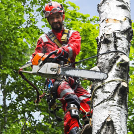 Tree Surgeon Gloves